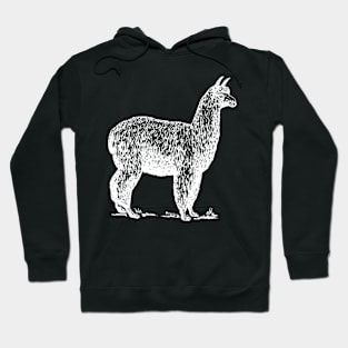 Llama Hoodie